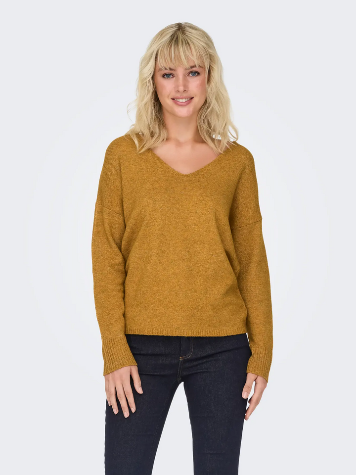 ONLErica Life LS V-neck