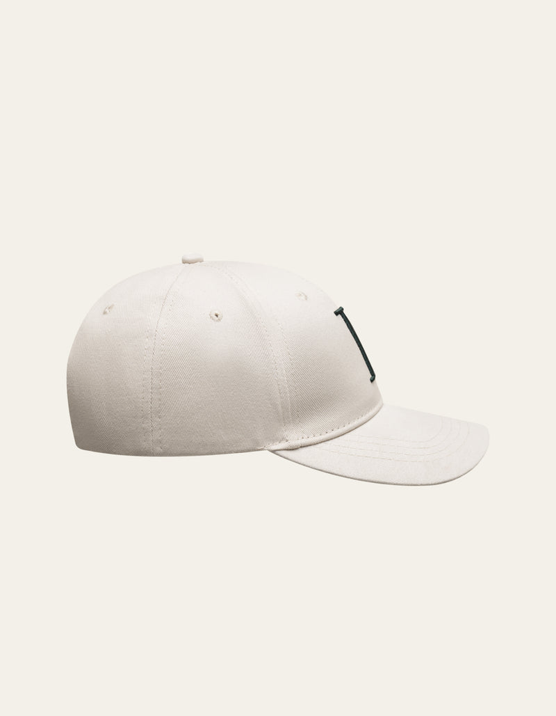 Baseball Cap Suede 2