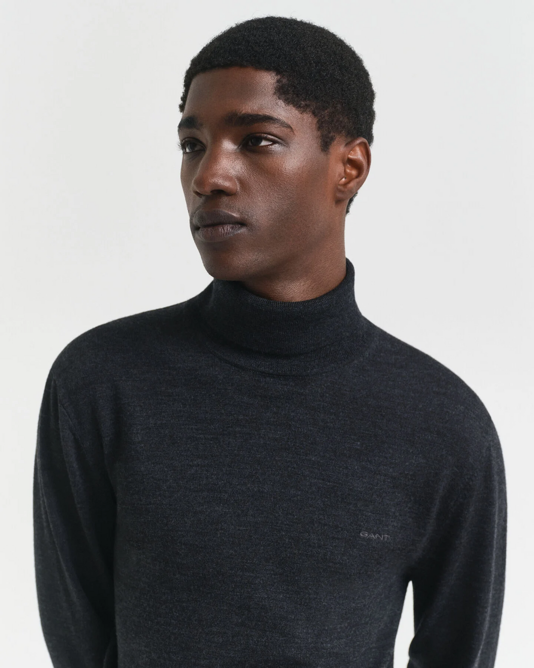 Extrafine Merino Wool Turtleneck