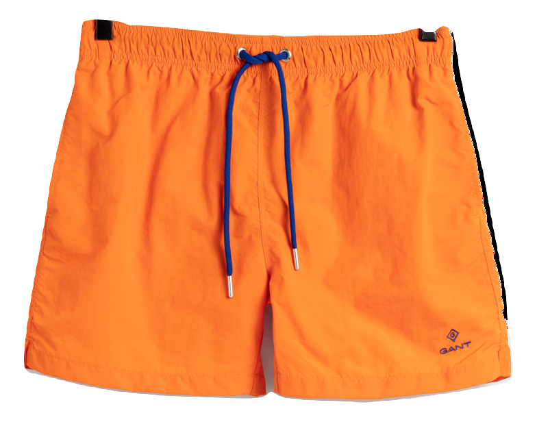 Basic Swim Shorts