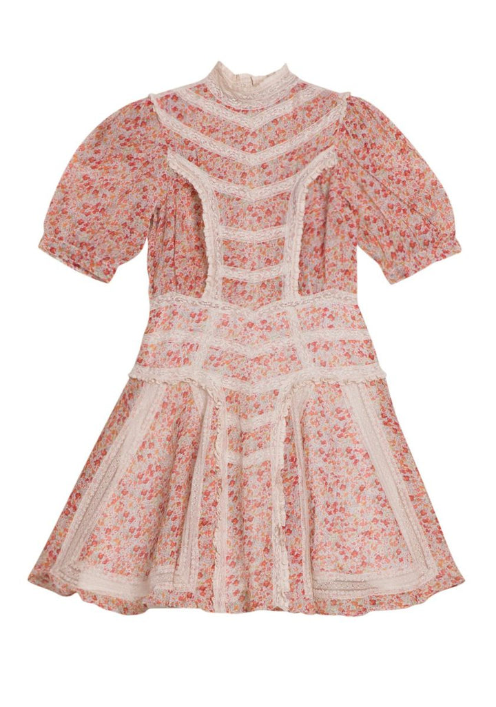 Victorian Organza Mini Dress