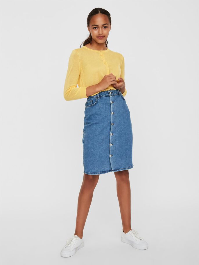 Mina HR Pencil Skirt